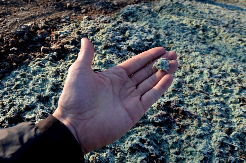 Understanding Hydro Seeding: An Overview