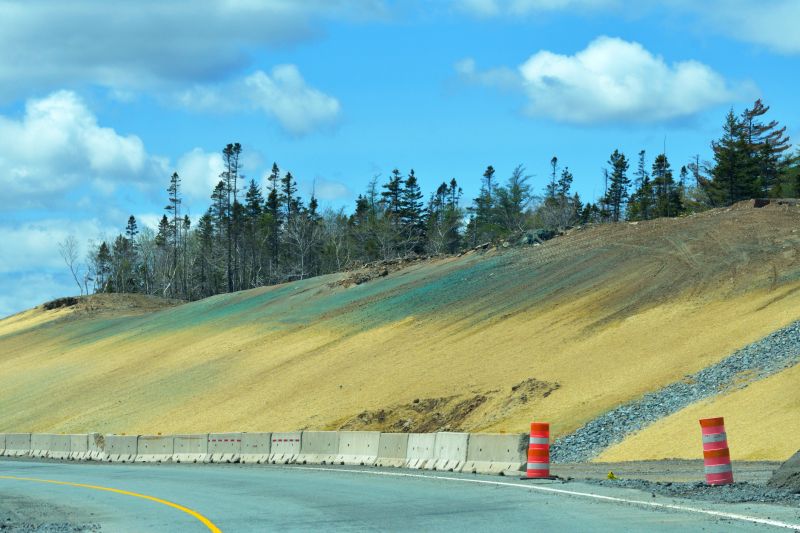 Hydro Seeding Services for Landscaping Projects