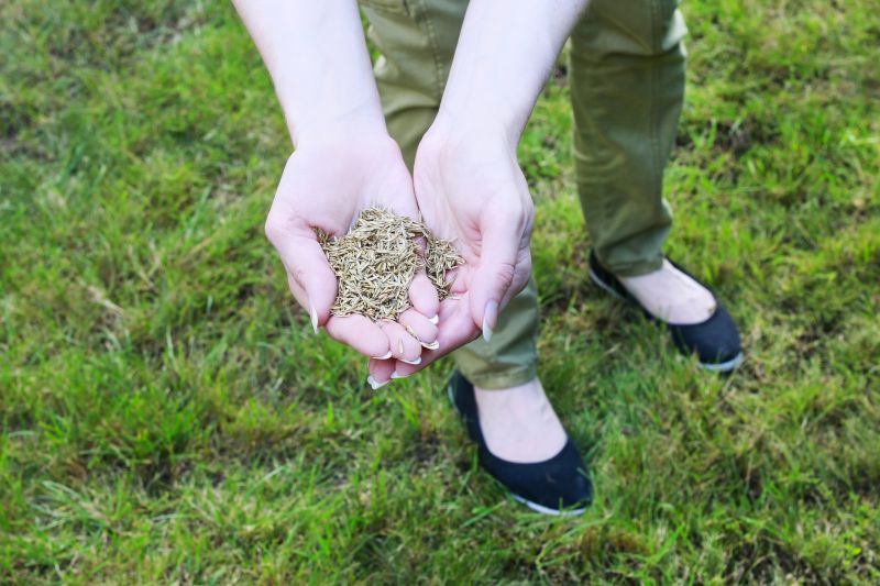 Seeding in Various Seasons