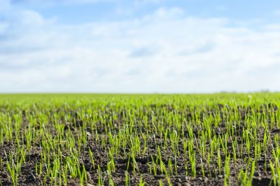 Seeding Project Planning