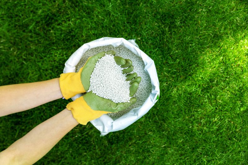 Customized Lawn Care Advice